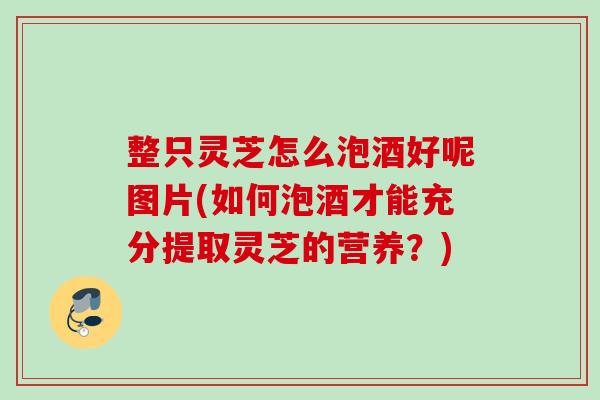 整只灵芝怎么泡酒好呢图片(如何泡酒才能充分提取灵芝的营养？)
