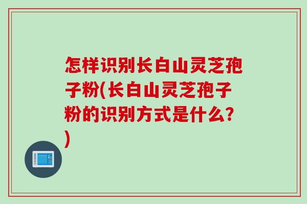 怎样识别长白山灵芝孢子粉(长白山灵芝孢子粉的识别方式是什么？)