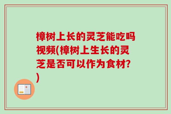 樟树上长的灵芝能吃吗视频(樟树上生长的灵芝是否可以作为食材？)