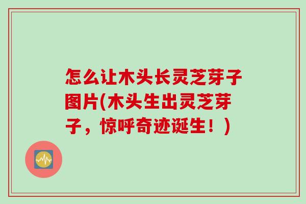 怎么让木头长灵芝芽子图片(木头生出灵芝芽子，惊呼奇迹诞生！)