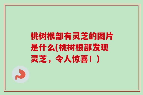 桃树根部有灵芝的图片是什么(桃树根部发现灵芝，令人惊喜！)