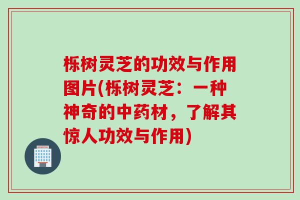 栎树灵芝的功效与作用图片(栎树灵芝：一种神奇的中药材，了解其惊人功效与作用)