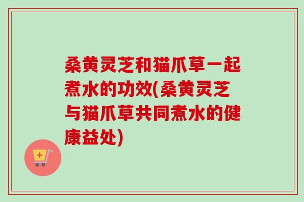 桑黄灵芝和猫爪草一起煮水的功效(桑黄灵芝与猫爪草共同煮水的健康益处)