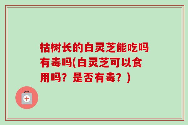枯树长的白灵芝能吃吗有毒吗(白灵芝可以食用吗？是否有毒？)