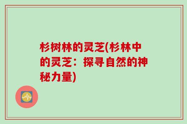 杉树林的灵芝(杉林中的灵芝：探寻自然的神秘力量)