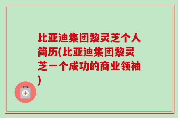 比亚迪集团黎灵芝个人简历(比亚迪集团黎灵芝一个成功的商业领袖)