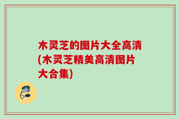 木灵芝的图片大全高清(木灵芝精美高清图片大合集)