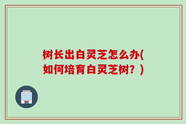 树长出白灵芝怎么办(如何培育白灵芝树？)