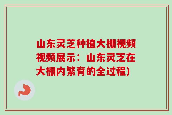 山东灵芝种植大棚视频视频展示：山东灵芝在大棚内繁育的全过程)