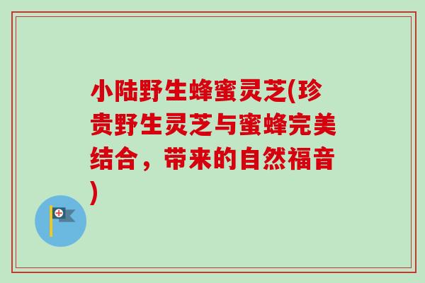 小陆野生蜂蜜灵芝(珍贵野生灵芝与蜜蜂完美结合,带来的自然福音) 小陆野生蜂蜜灵芝(珍贵野生灵芝与蜜蜂完美结合,带来的自然福音)