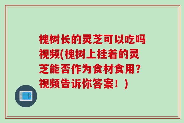 槐树长的灵芝可以吃吗视频(槐树上挂着的灵芝能否作为食材食用？视频告诉你答案！)