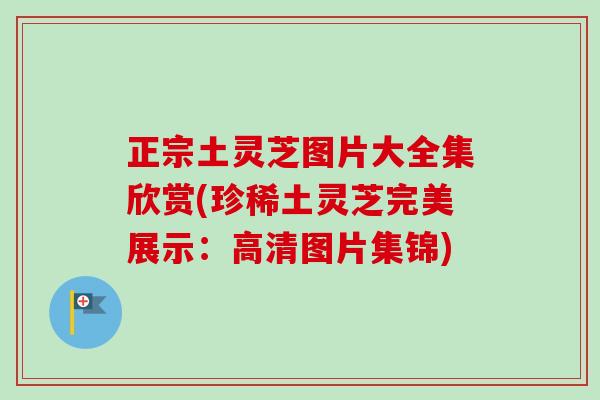 正宗土灵芝图片大全集欣赏(珍稀土灵芝完美展示：高清图片集锦)