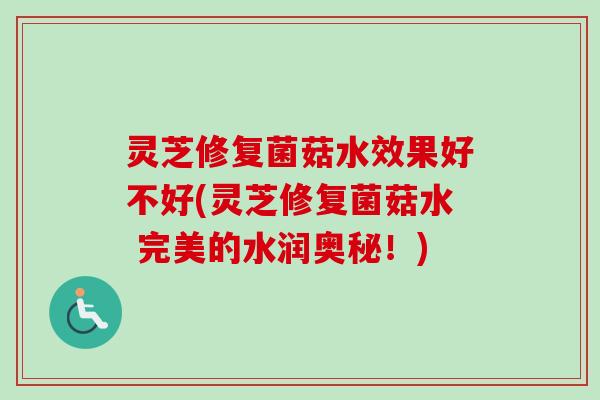 灵芝修复菌菇水效果好不好(灵芝修复菌菇水 完美的水润奥秘！)