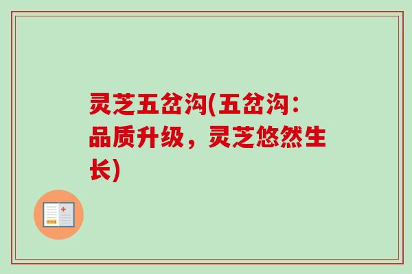 灵芝五岔沟(五岔沟：品质升级，灵芝悠然生长)