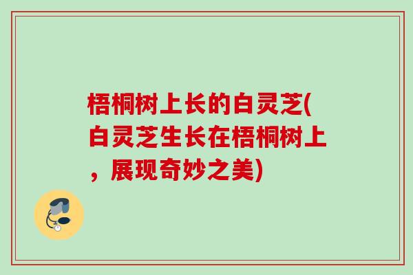 梧桐树上长的白灵芝(白灵芝生长在梧桐树上,展现奇妙之美) 梧桐树上长的白灵芝(白灵芝生长在梧桐树上,展现奇妙之美)