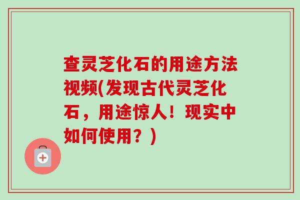 查灵芝化石的用途方法视频(发现古代灵芝化石，用途惊人！现实中如何使用？)