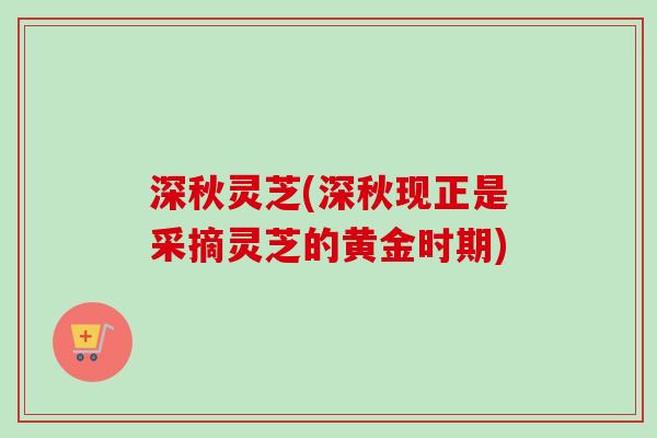 深秋灵芝(深秋现正是采摘灵芝的黄金时期)