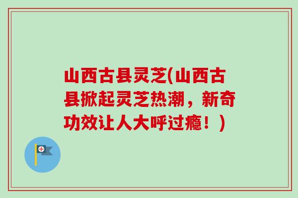 山西古县灵芝(山西古县掀起灵芝热潮，新奇功效让人大呼过瘾！)