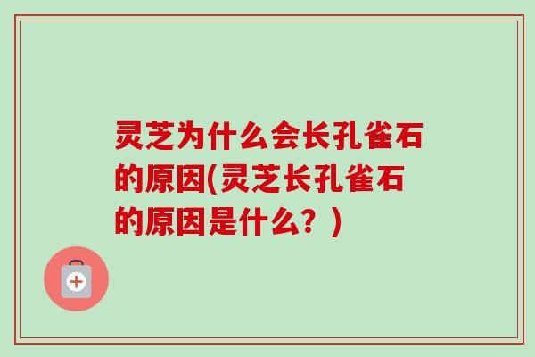 灵芝为什么会长孔雀石的原因(灵芝长孔雀石的原因是什么?) 灵芝为什么会长孔雀石的原因(灵芝长孔雀石的原因是什么?)