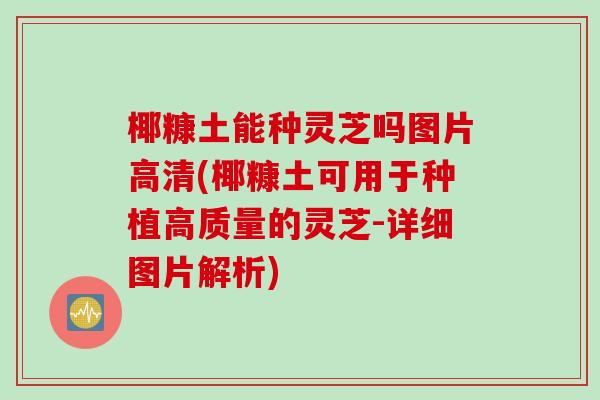 椰糠土能种灵芝吗图片高清(椰糠土可用于种植高质量的灵芝-详细图片解析)