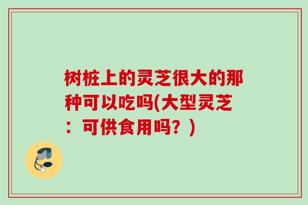 树桩上的灵芝很大的那种可以吃吗(大型灵芝:可供食用吗?) 树桩上的灵芝很大的那种可以吃吗(大型灵芝:可供食用吗?)