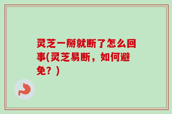 灵芝一掰就断了怎么回事(灵芝易断，如何避免？)