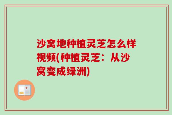 沙窝地种植灵芝怎么样视频(种植灵芝：从沙窝变成绿洲)