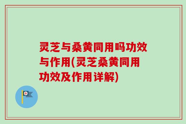 灵芝与桑黄同用吗功效与作用(灵芝桑黄同用功效及作用详解)