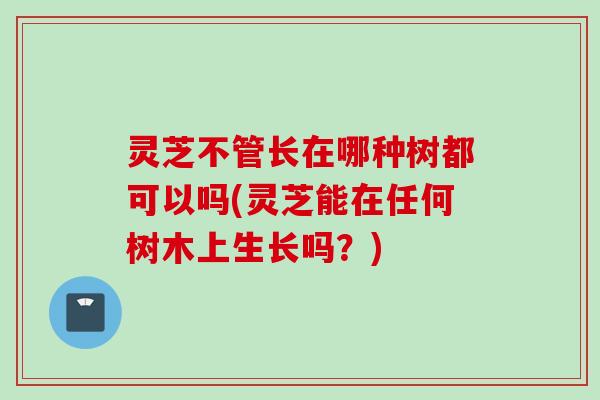 灵芝不管长在哪种树都可以吗(灵芝能在任何树木上生长吗？)