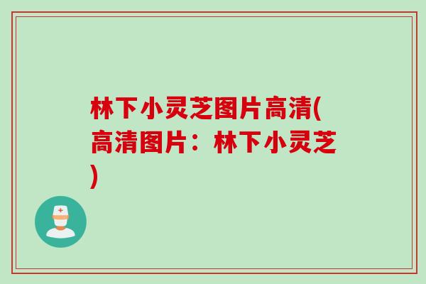 林下小灵芝图片高清(高清图片：林下小灵芝)