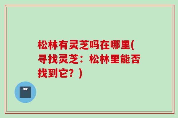 松林有灵芝吗在哪里(寻找灵芝：松林里能否找到它？)