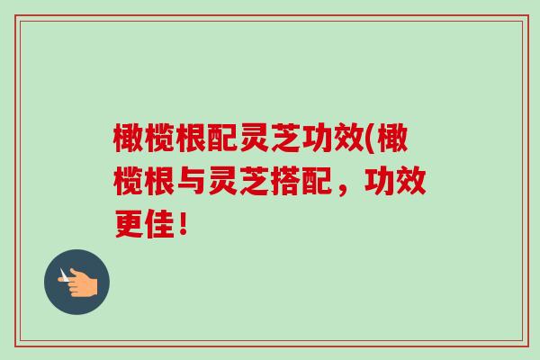 橄榄根配灵芝功效(橄榄根与灵芝搭配，功效更佳！