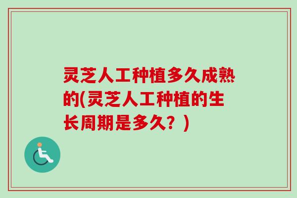 灵芝人工种植多久成熟的(灵芝人工种植的生长周期是多久？)