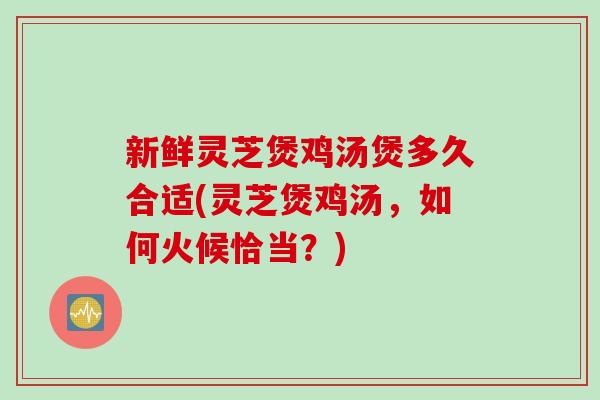 新鲜灵芝煲鸡汤煲多久合适(灵芝煲鸡汤，如何火候恰当？)
