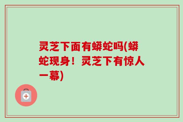 灵芝下面有蟒蛇吗(蟒蛇现身!灵芝下有惊人一幕) 灵芝下面有蟒蛇吗(蟒蛇现身!灵芝下有惊人一幕)
