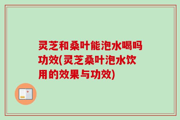 灵芝和桑叶能泡水喝吗功效(灵芝桑叶泡水饮用的效果与功效)