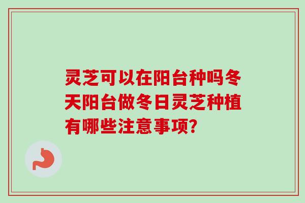灵芝可以在阳台种吗冬天阳台做冬日灵芝种植有哪些注意事项? 灵芝可以在阳台种吗冬天阳台做冬日灵芝种植有哪些注意事项?