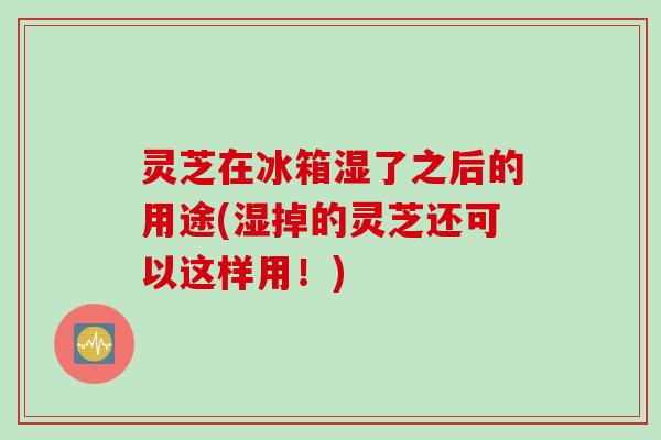 灵芝在冰箱湿了之后的用途(湿掉的灵芝还可以这样用！)