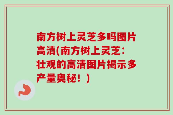 南方树上灵芝多吗图片高清(南方树上灵芝：壮观的高清图片揭示多产量奥秘！)