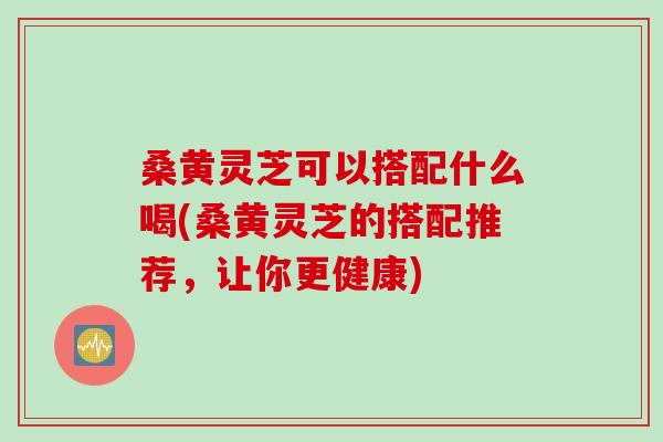 桑黄灵芝可以搭配什么喝(桑黄灵芝的搭配推荐，让你更健康)