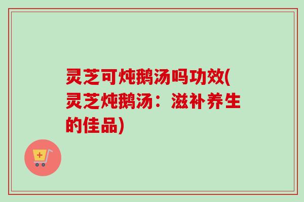 灵芝可炖鹅汤吗功效(灵芝炖鹅汤：滋补养生的佳品)