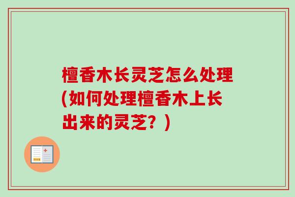 檀香木长灵芝怎么处理(如何处理檀香木上长出来的灵芝？)