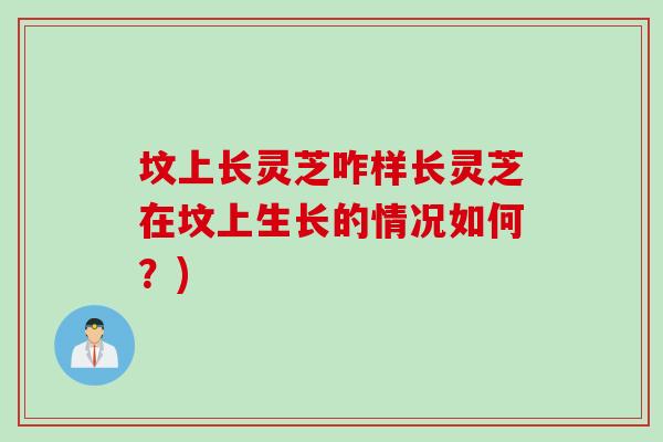 坟上长灵芝咋样长灵芝在坟上生长的情况如何？)