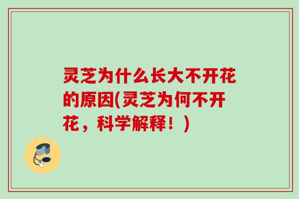 灵芝为什么长大不开花的原因(灵芝为何不开花，科学解释！)