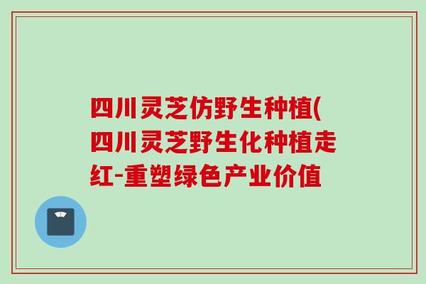 四川灵芝仿野生种植(四川灵芝野生化种植走红-重塑绿色产业价值