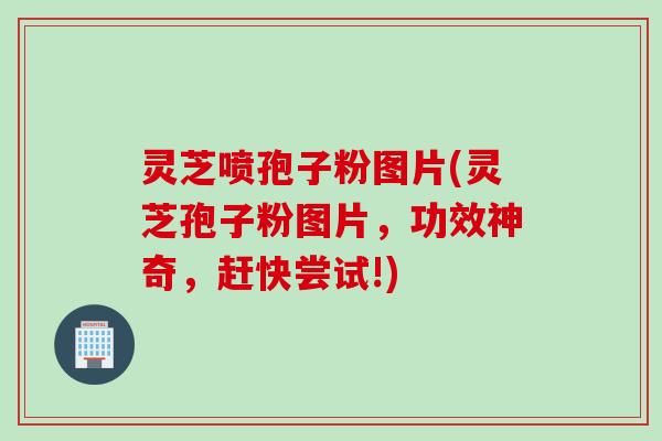 灵芝喷孢子粉图片(灵芝孢子粉图片，功效神奇，赶快尝试!)