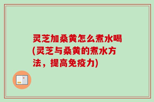 灵芝加桑黄怎么煮水喝(灵芝与桑黄的煮水方法，提高免疫力)