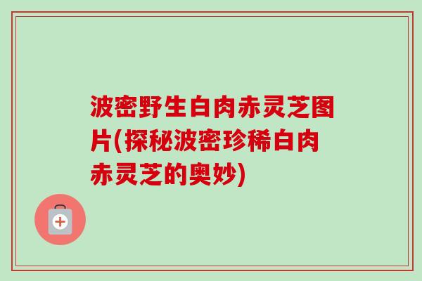 波密野生白肉赤灵芝图片(探秘波密珍稀白肉赤灵芝的奥妙)