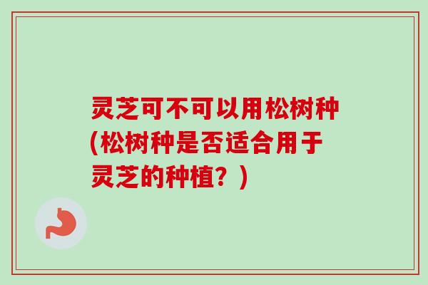 灵芝可不可以用松树种(松树种是否适合用于灵芝的种植？)