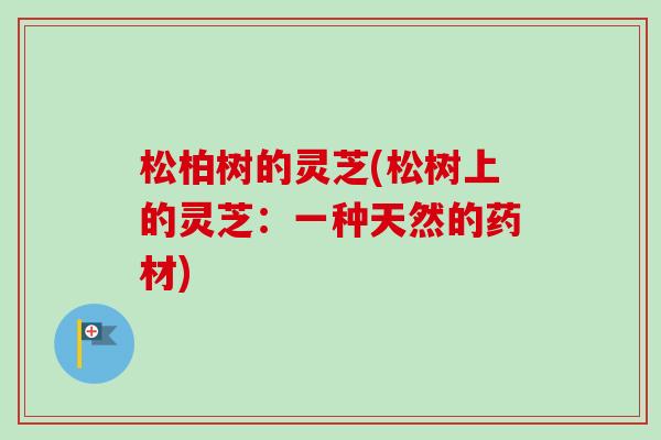 松柏树的灵芝(松树上的灵芝：一种天然的药材)